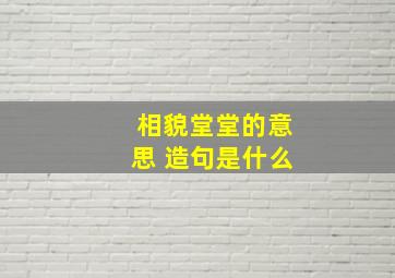 相貌堂堂的意思 造句是什么